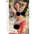 Tattoo Girls - Tattooed Women Calendar - 2025 (1pcs)