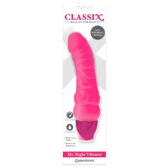 Classix Mr. Right - Beginner Silicone Penis Vibrator (Pink) 