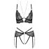 Abierta Fina - open lace bra set (black)