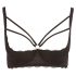 Cottelli Plus Size - Strappy, Ringed Push-Up Bra (Black)  - 85E