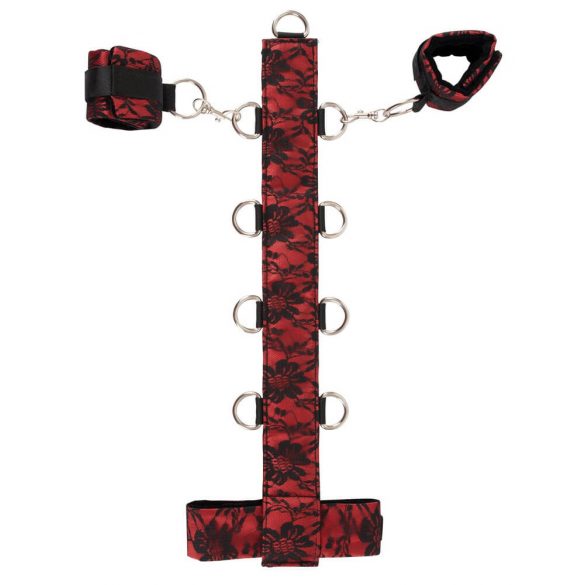 Bad Kitty - Asian Arms Neck Tie Set (Red-Black) 