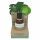 Coconutoil - Organic Hair Removal & Shaving After Oil (50ml)