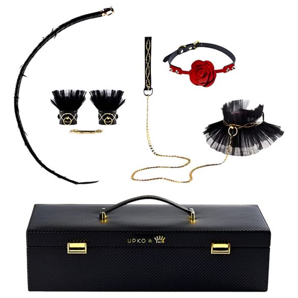 ZALO - Luxury Bondage Set in Storage Case (Black) 