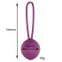 Engily Ross Leigh - Silicone Kegel Ball (Purple) 