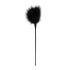 Easytoys - Long Feather Tickler (Black) 