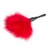 Easytoys Mini - Genuine Feather Tickler (Red) 