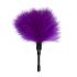 Easytoys Mini - Real Feather Tickler (Purple) 