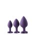 Flirts Anal Training Kit - Purple (3pcs) 