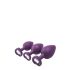 Flirts Anal Training Kit - Purple (3pcs) 